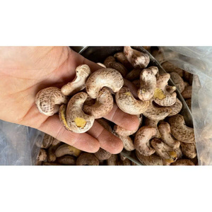 Nueces de Anacardo Tostadas y Saladas de Alta Calidad con Cáscara, Marca Kim Long, de Ho Chi Minh, en Bolsa al Vacío/Envase Metálico, Venta al Por Mayor - Product Image 5
