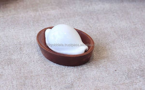 Conchas Marinas Naturales Mixtas Surtidas a Granel para Adornos de Acuario, Decoración de Paredes de Casas Costeras y Artesanías - Macy - Product Image 2
