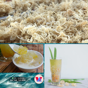 สาหร่ายมอสสีม่วงแบบมีหนาม ตากแห้ง วัตถุดิบธรรมชาติสำหรับทำกัมมี่เกรดอาหารและส่วนผสมต่างๆ ขายดี - Product Image 6