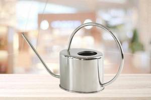 Arrosoir en acier inoxydable, outil de jardinage durable, utilisation intérieure et extérieure, design moderne, long bec verseur, poignée - Product Image 3