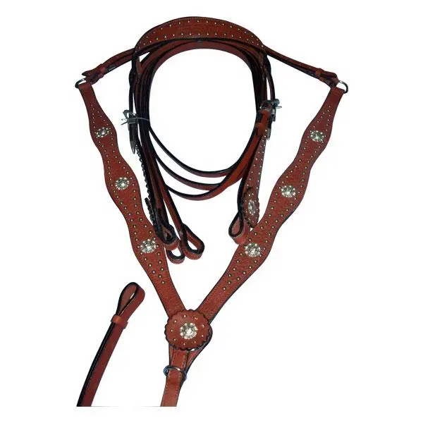 Leather western Headstall for horses.