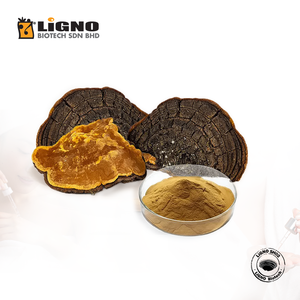 Proveedor Confiable de Malasia, Extracto de Hongo LiGNO SH02 Sang Huang Phellinus Linteus en Polvo, Empaquetado en Tambor, para el Bienestar Digestivo - Product Image 2