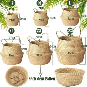 Vietnam Seagrass Storage <b>Basket</b> Indoor Planter Natural Handwoven Durable <b>Wicker</b> Flower Pot Eco-Friendly Rustic Home Decor Trend - Product Image 3