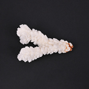 Coral blanc naturel, pierre précieuse brute, 124 carats, irrégulière, 64x39 mm, pierre brute pour la fabrication de bijoux |   1 pièce - Product Image 4