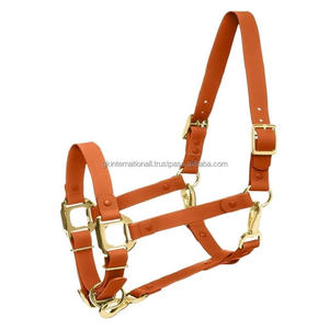 Cabestro de caballo de nailon de PVC de Material lavable de primera calidad con variante de níquel o latón sin óxido de alta calidad caballo Halter - Product Image 5