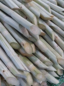 Briques de canne à sucre surgelées IQF, fraîchement pelées, sucrées, pour la transformation de boissons - Product Image 1
