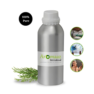 Aromaaz International Huile pure de feuilles de cèdre et de thuya, Cèdre blanc du Nord, Cèdre de l'Est, Soulagement naturel de la douleur, Éclaircissant - Product Image 1