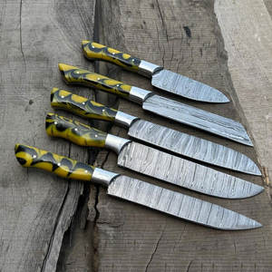 Juego de cuchillos de chef profesionales de acero de Damasco, colección de utensilios de cocina de varias piezas para expertos culinarios y cocineros caseros - Product Image 1