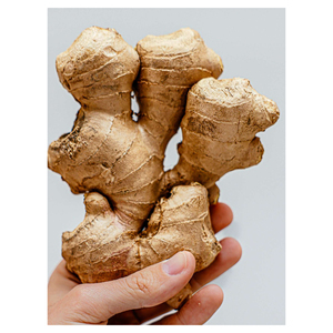 ขิงสดอบแห้งคุณภาพพรีเมียมจากสหราชอาณาจักรเพื่อการส่งออก 100% - Product Image 6