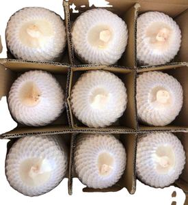 Noix de coco fraîche de haute qualité produit agricole du Vietnam - Product Image 2