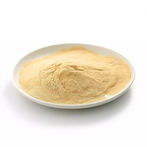 Poudre d'extrait de levure 100 % naturelle à mailles fines, pure, de qualité alimentaire, à base de plantes, contribue à améliorer la digestion et la santé globale - Product Image 2