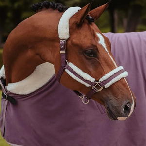 Hot Selling 100% Genuine Leather Western Equestrian Horse Bridle <b>Halter</b> with Soft Padding Comfortable & Durable Cheap Price - Product Image 3
