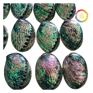 Beautiful Polished Green <b>Abalone</b> <b>Shell</b> Ocean <b>Shell</b> - Product Image 3