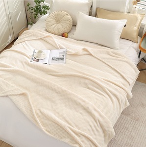 Wholesale Custom Logo Soft Flannel Fleece Blanket Cozy Polyester Throw Blanket for <b>Sofa</b> Bed Winter Home Hotel Gift Use - Product Image 2