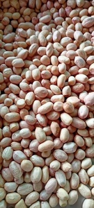 Cacahuètes entières séchées naturelles, croquantes, riches en protéines, sans additifs, qualité alimentaire, collation pour enfants et adultes, longue durée de conservation - Product Image 4