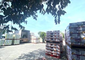 เบียร์ลาเกอร์รสชาติตัวหนาผลิตจากผู้ผลิตในเวียดนามขายส่งจำนวนมากในราคาไม่แพง - Product Image 5