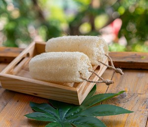 Éponge de loofah en gros, exfoliante, pour le bain, en forme de gourde, en matière végétale naturelle, maille de douche premium pour le corps, pour le nettoyage domestique - Product Image 6