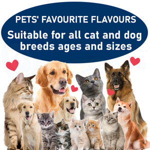 Golosinas Masticables Blandas para la Salud de las Glándulas Anales de Mascotas, Suplementos de Calabaza para Perros y Gatos, Enzimas Digestivas, Probióticos, Fibra, Apoyo para el Cuidado de la Salud, Seguro - Product Image 6