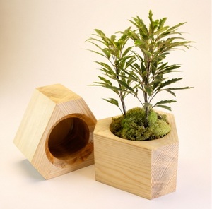 Maceta Pequeña de Madera Vintage para Suculentas, Macetero de Madera Natural para Escritorio, Soporte Geométrico Creativo para Flores, en Oferta - Product Image 3