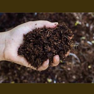 Engrais de vermicompost biologique approuvé par l'USDA – Conditionneur de sol naturel sans produits chimiques |   Approvisionnement en gros Inde - Product Image 5
