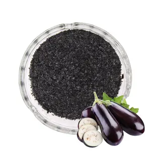 High Quality Seaweed Extract Powder/Sheet Plant Fertilizer Made by China Supplier