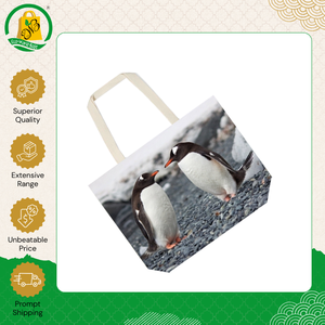 Indian Manufacturer Selling Top Quality <b>Canvas</b> Grocery Tote Bag Reusable Foldable Shopping Tote Bag Digital Printing Bag - Product Image 3