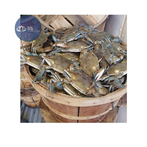 ตะกร้าใส่ปูไม้คุณภาพสูง สไตล์เรียบง่าย สำหรับจัดเก็บอาหารทะเล - Product Image 1