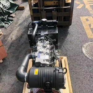 Motor Diésel Perkins 404A-22 de 4 Cilindros, 1500 rpm, 20.6 kW, Ensamblaje Completo del Motor C2.2, Piezas para Excavadora, Origen China - Product Image 3