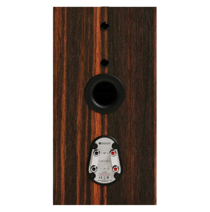 NUEVOS ALTAVOCES ORIGINALES Audio Gold 100 6G con controladores individuales y rejillas magnéticas incluidas - Product Image 4