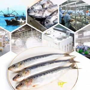 <span class=keywords><strong>Sardinas</strong></span> Ahumadas Enlatadas de Alta Calidad de Diversos Sabores, 120g, Envasadas en Aceite, de Fábrica China - Product Image 5