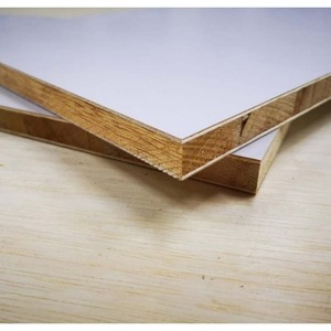 Contreplaqué de précision pour une découpe précise, un assemblage facile et une finition impeccable - Product Image 6