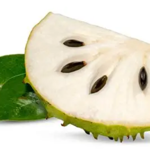 TROZOS DE GUARANÁ CONGELADOS IQF DE ALTA CALIDAD - CALIDAD DE EXPORTACIÓN GRADO A - Product Image 5