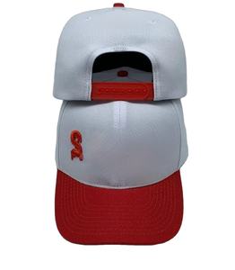 Gorra Unisex de Alta Calidad Personalizable con Logotipo Impreso y Bordado, y Protección Solar Multipanel - Product Image 1