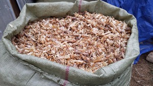 เปลือกกุ้งแห้ง/เกล็ดเปลือกกุ้งมีจำหน่ายในเวียดนาม - Product Image 2