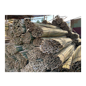 Palos de bambú divididos de alta demanda para uso artesanal y agrícola - Product Image 6