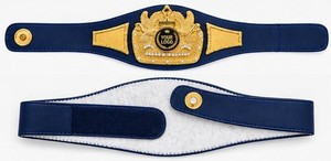 Custom Die Cast Championship Belt Personalized Boxing Karate Judo Leather Award with Logo Durable PU Lining - Product Image 4