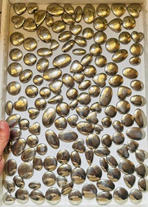 Lote al por mayor de cabujones de pirita dorada natural, piedras preciosas pulidas de base plana, sueltas, de formas y tamaños variados, Trimurti Gems Rajasthan - Product Image 1