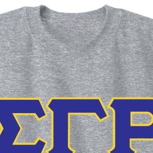 เสื้อสเวตเชิ้ตคอกลม Sigma Gamma Rho 3 ลายตัวอักษรกรีก เสื้อพูลโอเวอร์แบบกำหนดเองสำหรับชมรมนักศึกษา เสื้อผ้าลำลองแบบ unisex ผ้าฟลีซ สตรีทแวร์ - Product Image 2