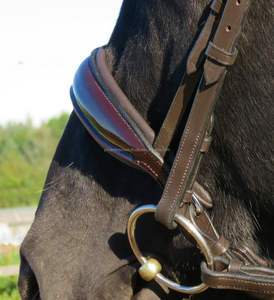 Bride en cuir véritable de qualité supérieure pour cheval disponible en plusieurs couleurs et plusieurs tailles - Product Image 4
