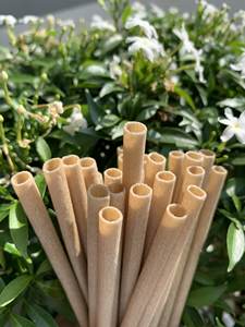 Pajitas ecológicas de bambú hechas de fibra de bambú, material poliláctico biodegradable compostable, reutilizable para bebidas frías y calientes - Product Image 3