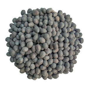 Graines de lotus brunes séchées brutes à floraison permanente pour culture hydroponique en eau - Offre spéciale - Product Image 1