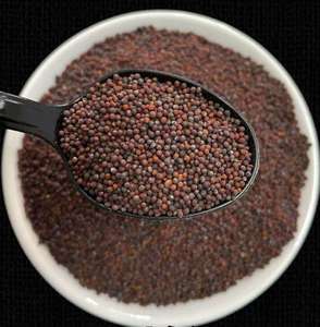 Mostaza Seca Natural en Venta, Procesada con Método AD para Uso Culinario y Aplicaciones Industriales de Procesamiento de Alimentos, India - Product Image 2