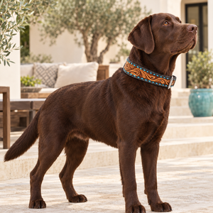 Collar de Perro de Cuero Repujado con Turquesa, Diseño Occidental Tallado a Mano |   Collar Ajustable Acolchado para Perros con Estilo Distintivo - Product Image 2