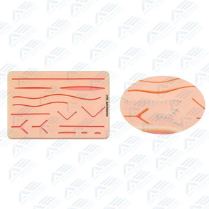 Apto Enterprises Supplier For Vet Nursing Students Surgical Instruments <b>Suture</b> Stitches <b>Kits</b> For Training - Product Image 6