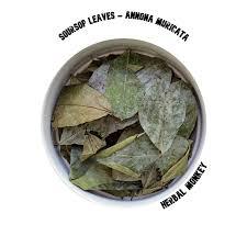 Annona Muricata Black <b>Tea</b> Dried Herbal Remedy Organic Health <b>Tea</b> Non Sugar Bulk Container Dry Storage - Product Image 1