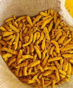 Curcuma en poudre de haute qualité, mélange d'herbes aromatiques, ingrédient culinaire naturel du Haryana par EXPORT DESI - Product Image 2