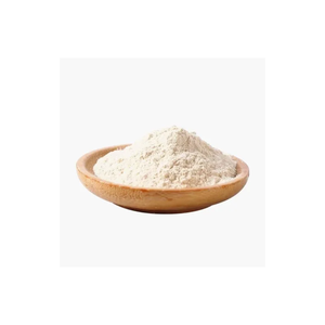 Ajo Deshidratado Premium en Polvo, Condimento Natural para la Industria Alimentaria, Venta al Por Mayor y Exportación - Product Image 6