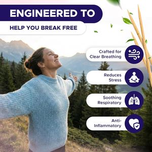 Koshe 4-Flavor <b>Toothpicks</b> Extra-Thick Nicotine-Free L-Theanine NAC Breath Fresheners for Quit-Smoking Support - Product Image 3