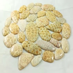 หินปะการังฟอสซิลธรรมชาติทรงคาโบชอง ขายส่งแบบหลังแบน เรียบเนียน หินควอตซ์สำหรับบำบัด แบบเม็ดเดี่ยว - Product Image 1