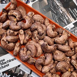 Nueces de Anacardo Tostadas y Saladas de África, Grado W320, Calidad Orgánica Premium para Mercados de Exportación, con Servicio OEM/ODM Disponible - Product Image 2